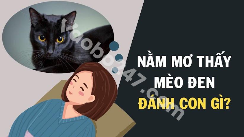 Chiêm bao thấy mèo đen - mèo mun