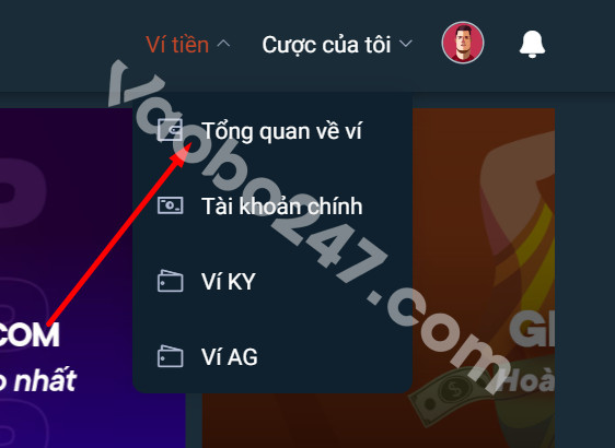 Chọn tổng quan về ví