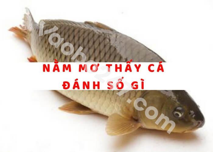 Mơ thấy cá đánh con gì dễ trúng lô đề?