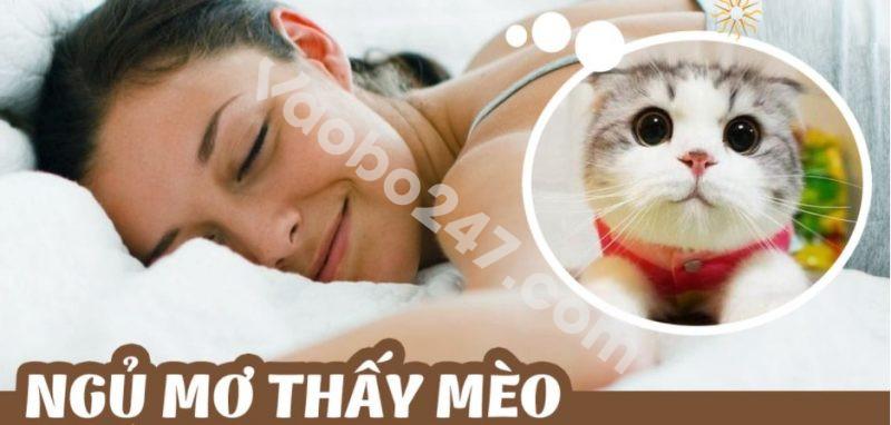 Mơ thấy mèo nên đánh con số nào sẽ trúng lô đề