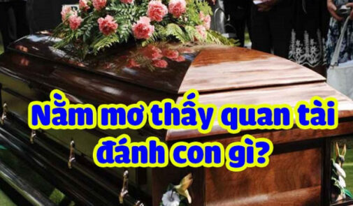 Mơ thấy quan tài có phải điềm xấu? Giải mã giấc mơ chi tiết