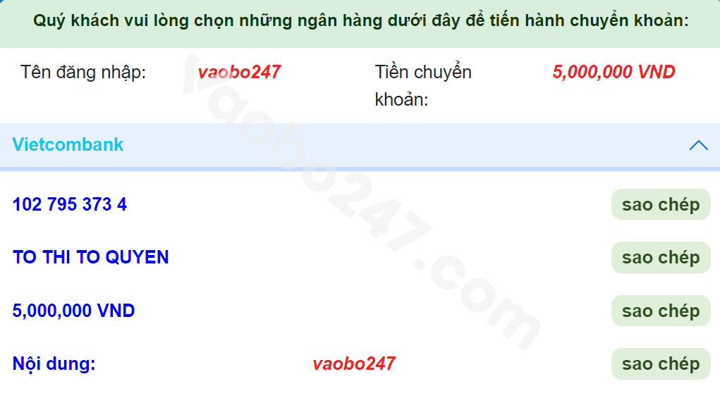 Anh em sao chép thông tin về số tài khoản và nội dung chuyển khoản để thực hiện giao dịch 