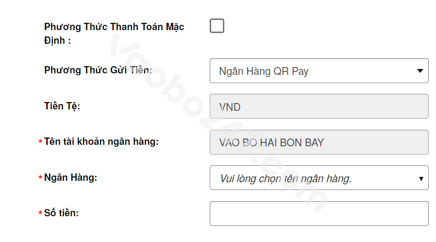 Điền thông tin thực hiện giao dịch mà nhà cái yêu cầu