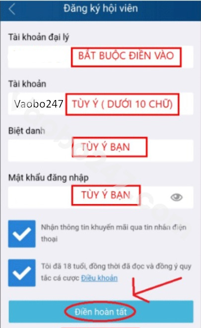 Điền và hoàn tất các thao tác đăng ký kubet