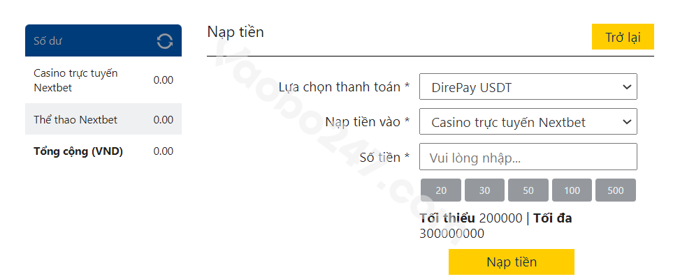 Nạp tiền USDT Dire Pay như thế nào?