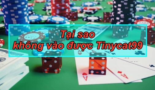 Thông tin nhà cái Tinycat99 lừa đảo người chơi có thật không