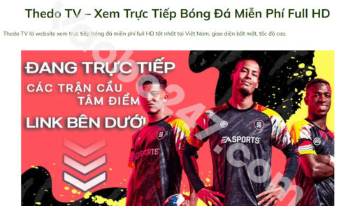 Thedo TV – Thế Giới Bóng Đá Trong Tay Bạn