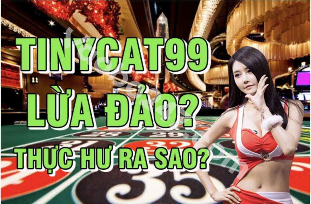 Thông tin Tinycat99 lừa đảo có đúng không? 